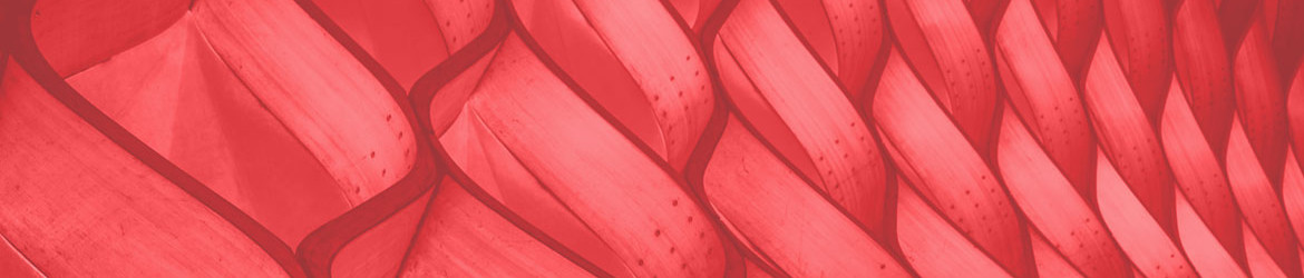 Изображение на обложке